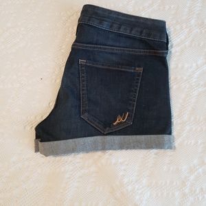 Express Jean Shorts